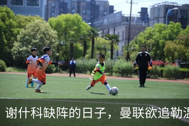谢什科缺阵的日子，曼联欲追勒温的曲折故事